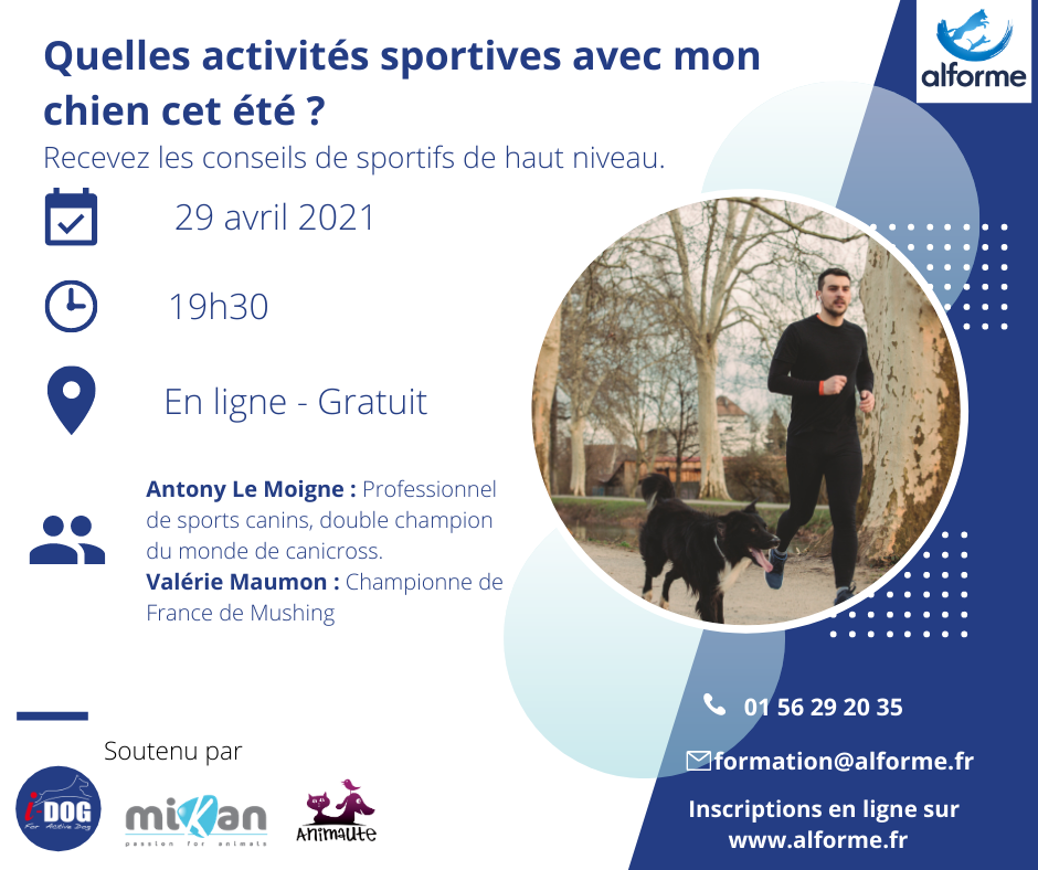 Web conférence activité sportive chien alforme