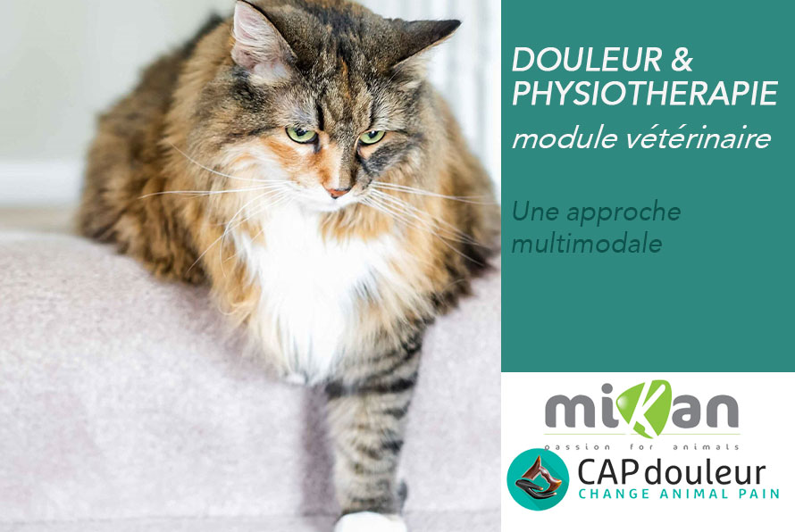 formation douleur physiothérapie capdouleur mikan