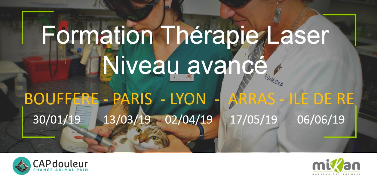 formation therapie laser niveau avance