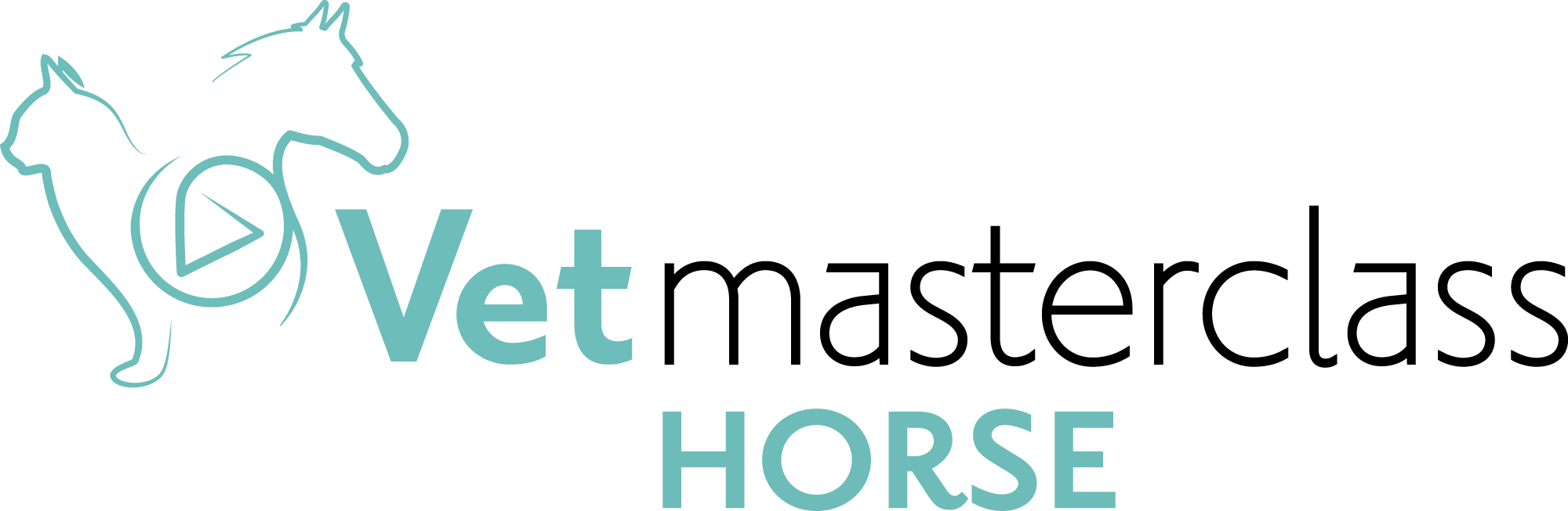 vet master class horse