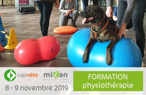 Photo formation CAP Véto physiothérapie Mikan partenaire