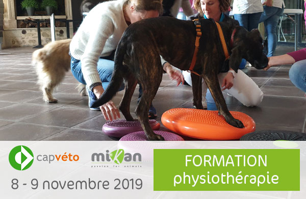 Photo formation CAP Véto physiothérapie Mikan partenaire