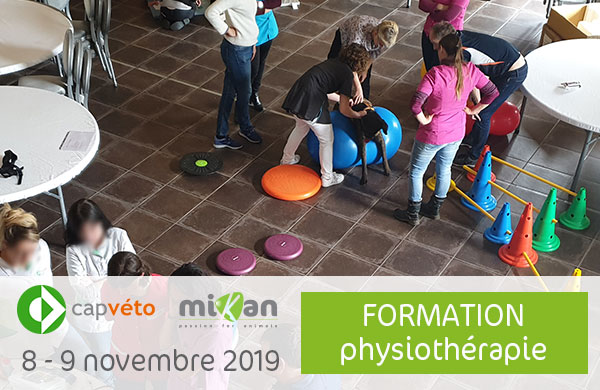 Photo formation CAP Véto physiothérapie Mikan partenaire