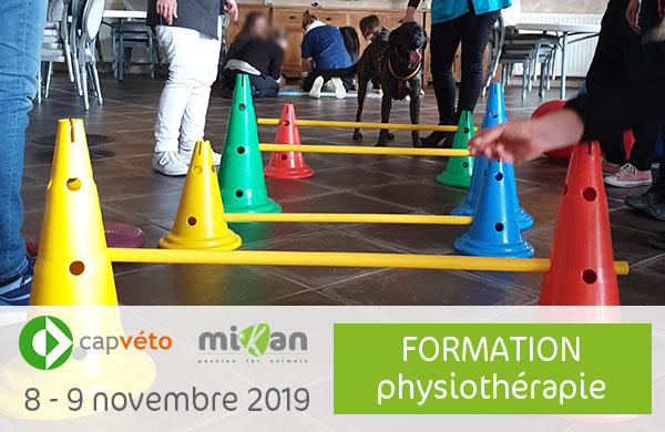 Photo formation CAP Véto physiothérapie Mikan partenaire