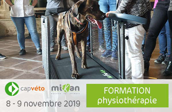 Photo formation CAP Véto physiothérapie Mikan partenaire