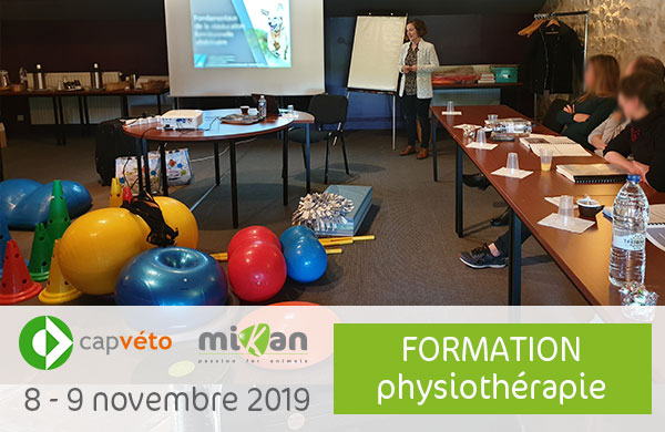 Photo formation CAP Véto physiothérapie Mikan partenaire