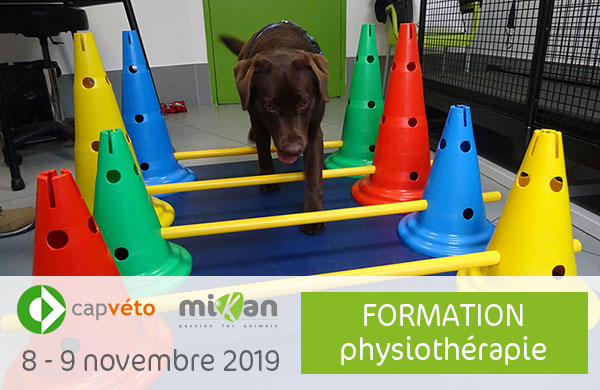 Photo formation CAP Véto physiothérapie Mikan partenaire