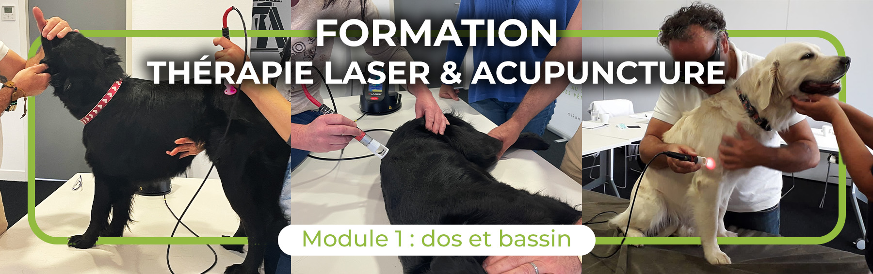Formation Laser Acupuncture Mikan