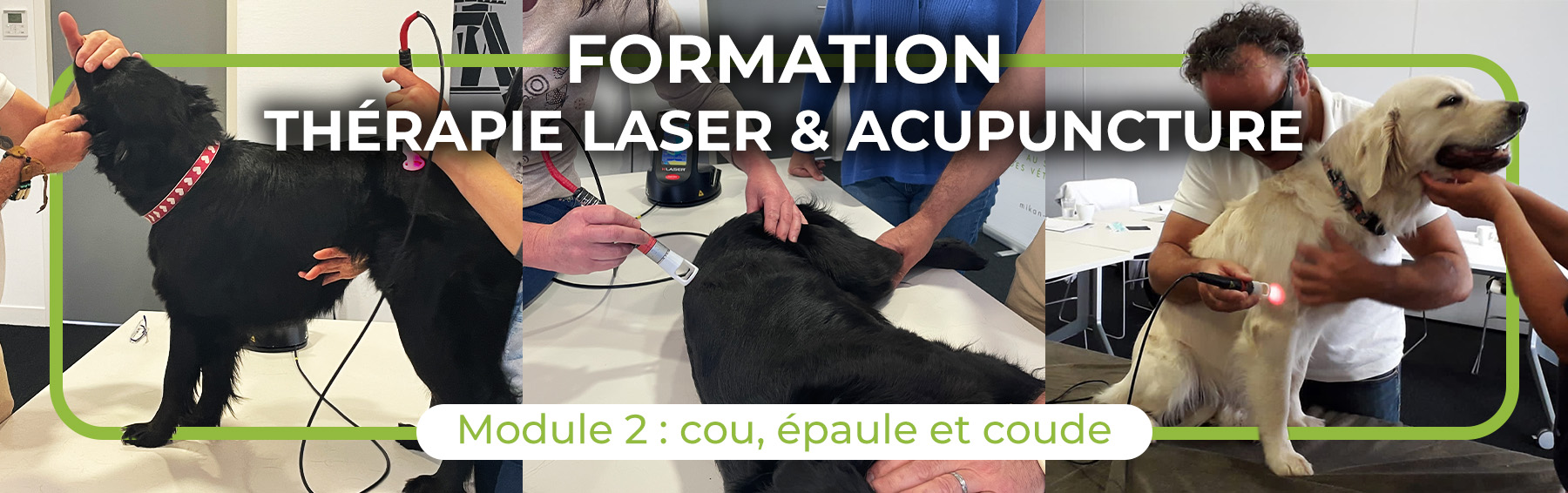 Formation Laser Acupuncture Mikan