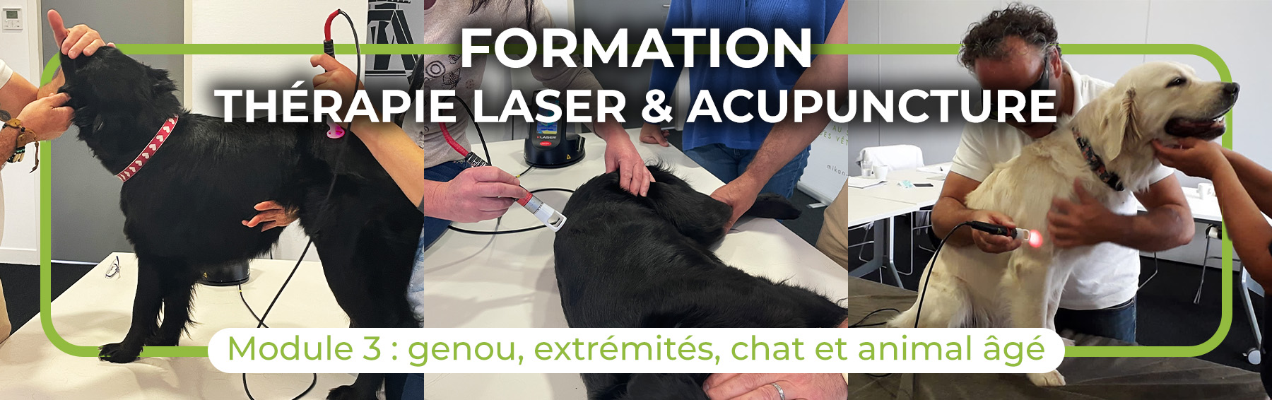 Formation Laser Acupuncture Mikan