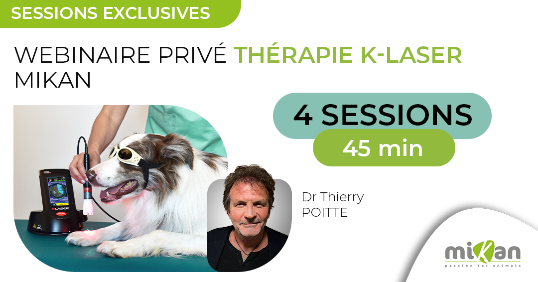 webinaire privé klaser mikan