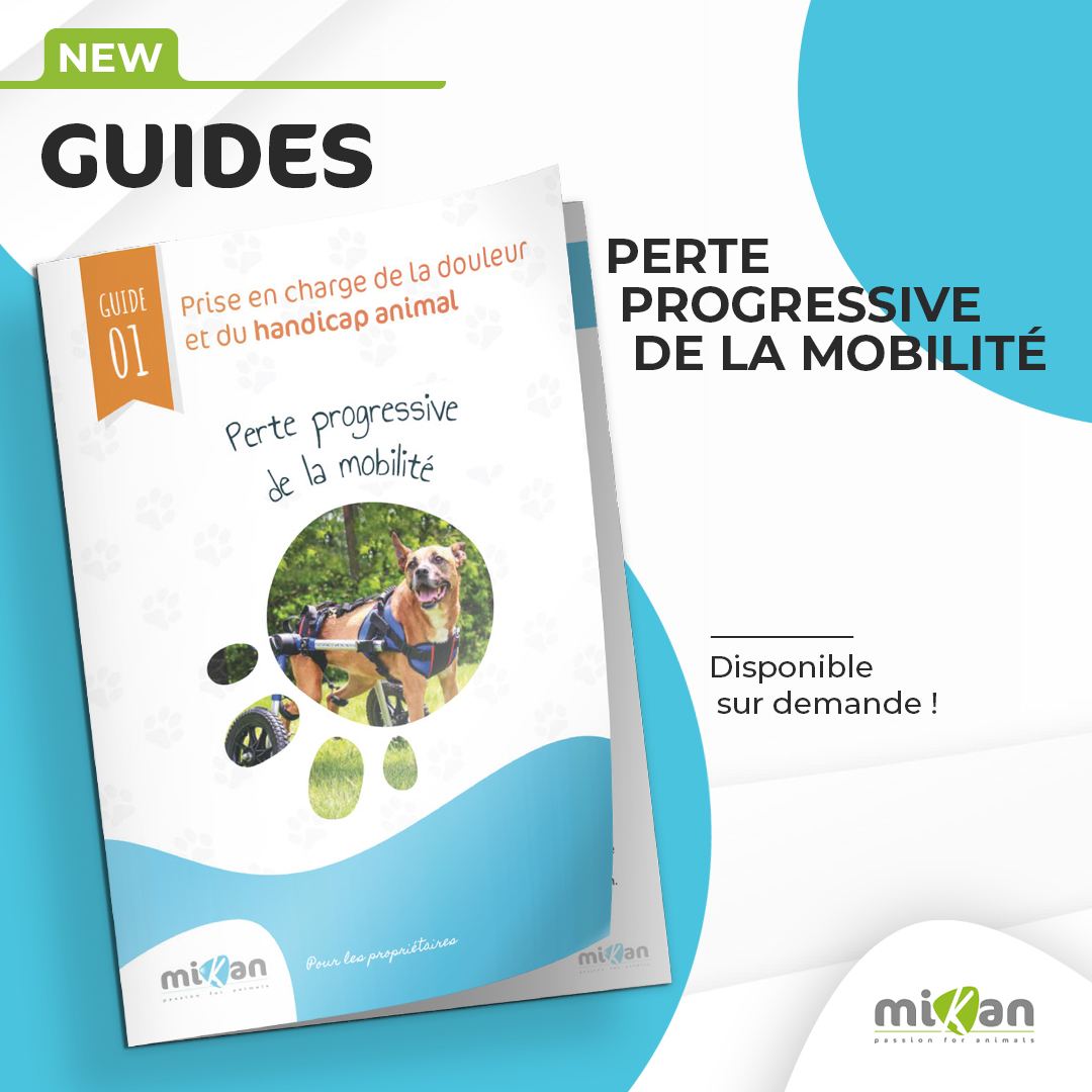 guide de douleur et handicap 1 perte de la mobilité