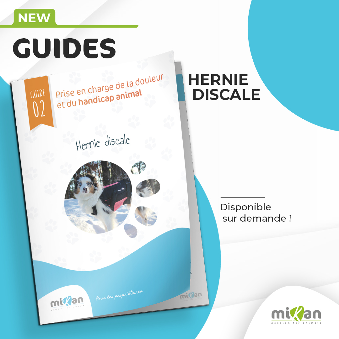Guide handicap Mikan hernie discale