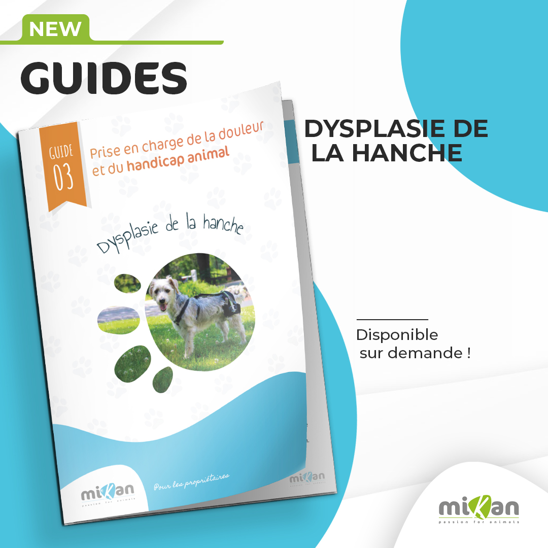 Guide handicap Mikan dysplasie de la hanche