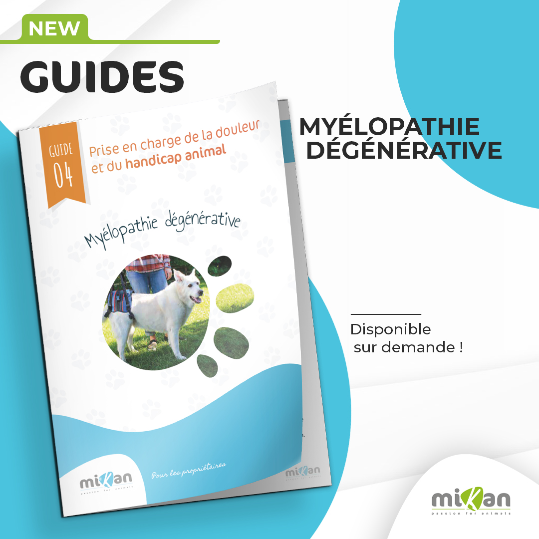 guide de douleur et handicap 4 myélopathie dégénérative