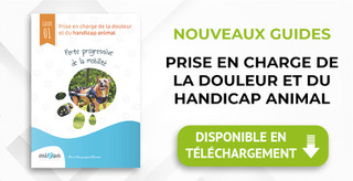 guide de bien être et handicap pour animaux