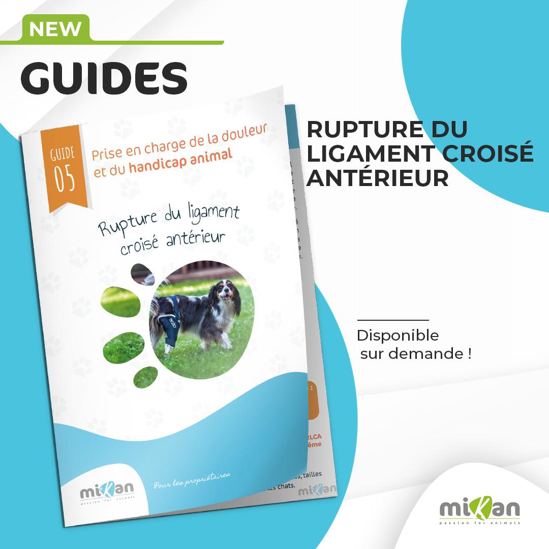 Guide handicap Mikan rupture du ligament croisé antérieur