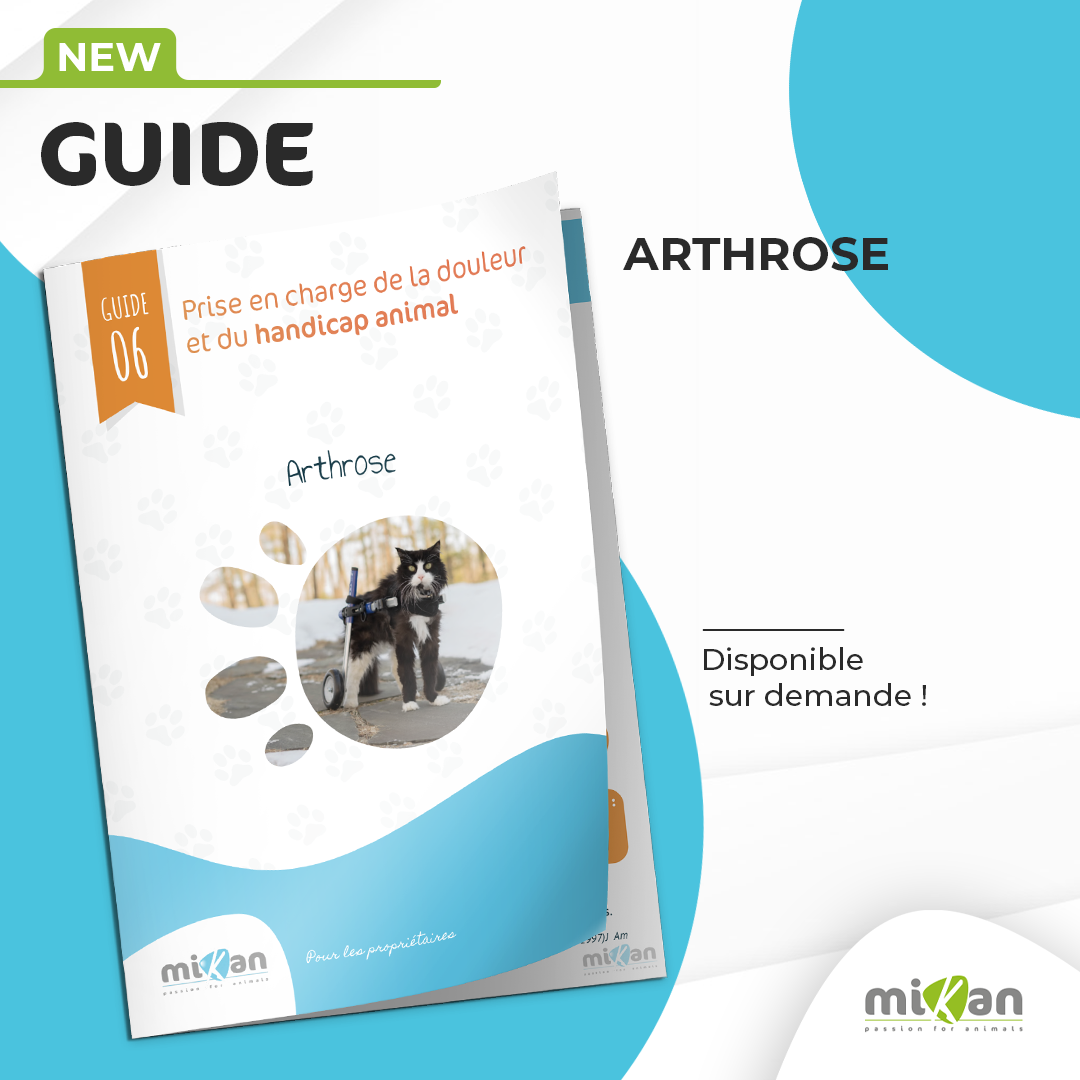 Guide de handicap Mikan l'arthrose