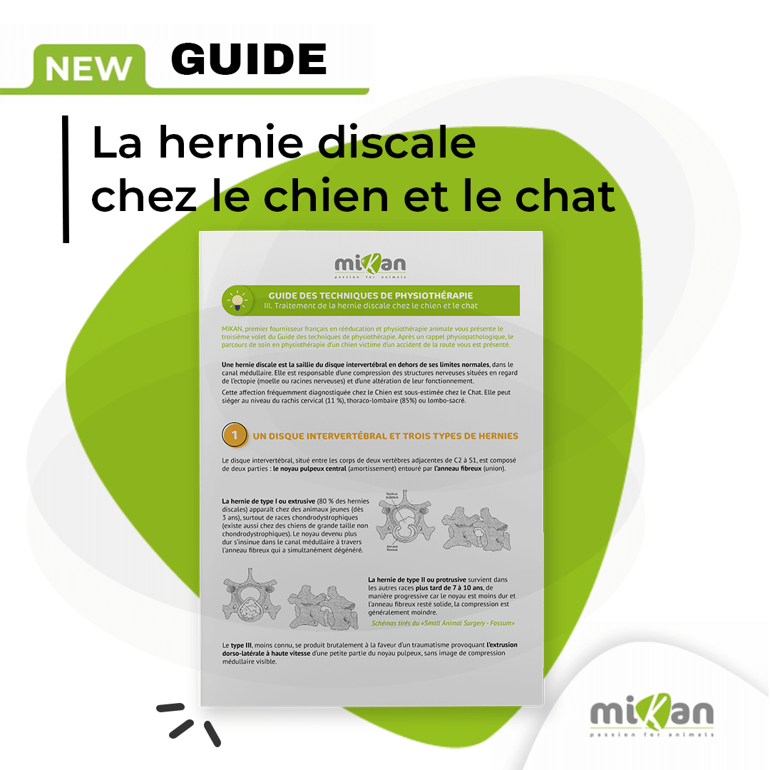 guide de physiothérapie 3 hernie discale