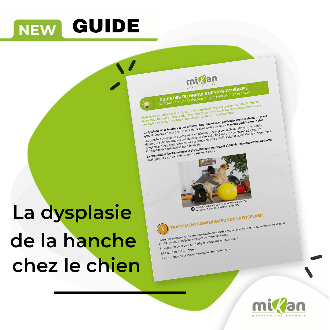 guide de physiothérapie 4 dysplasie de hanche