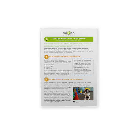 guide de physiothérapie 2 arthrose
