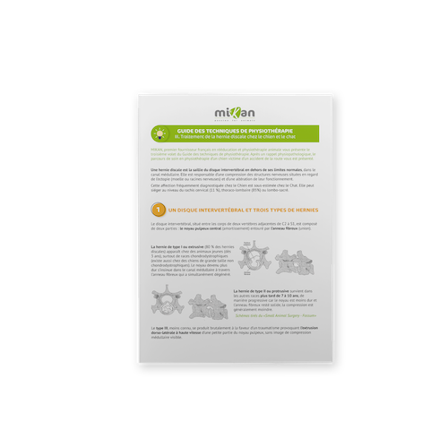 guide de physiothérapie 3 hernie discale