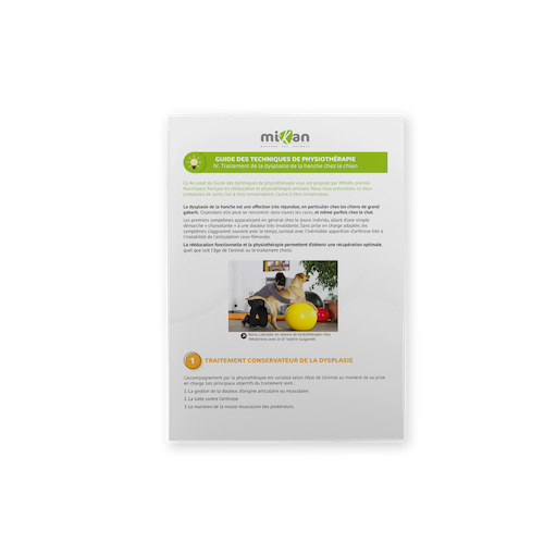 guide de physiothérapie 4 dysplasie de hanche