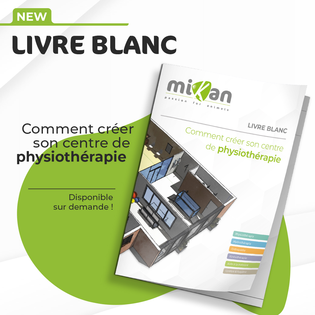 livre blanc créer son centre de physiothérapie