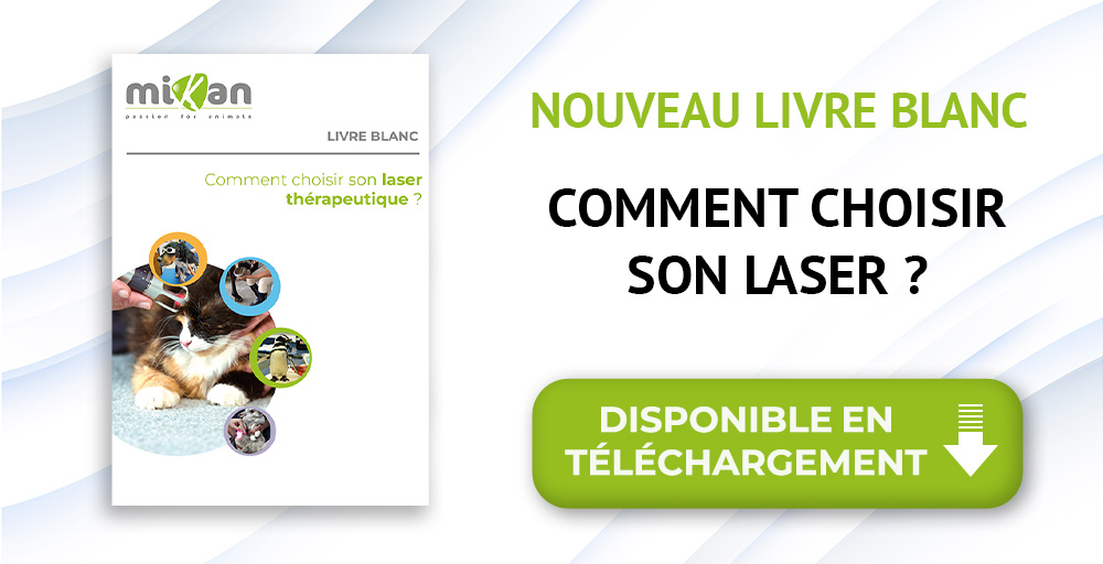 livre blanc choisir son laser thérapeutique