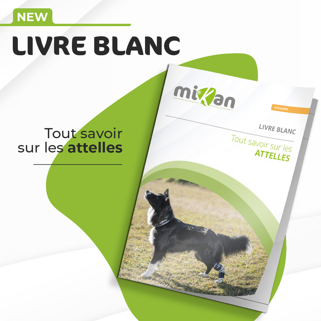 Livre blanc mikan nouveauté sur l'orthopédie et les attelles pour animaux