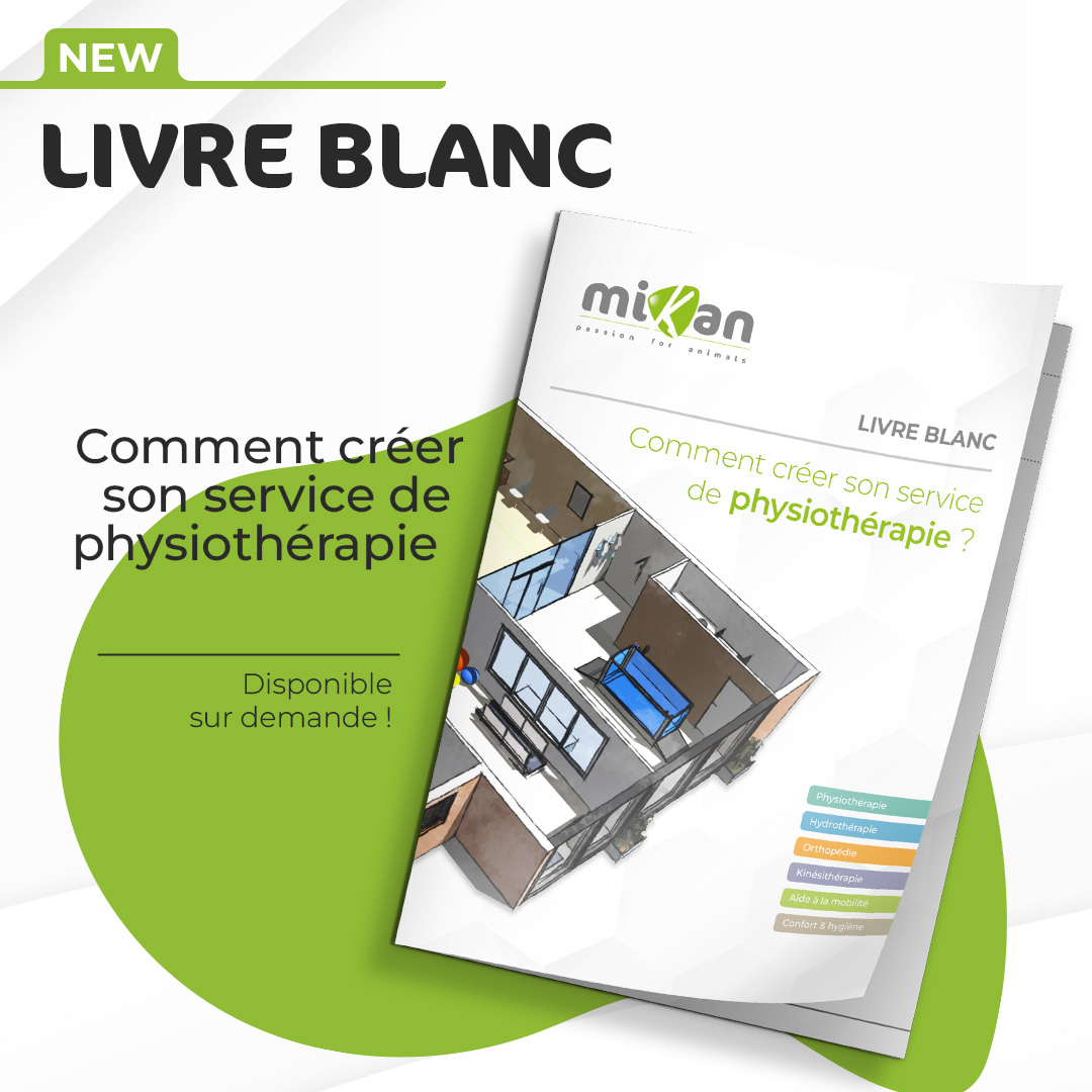 livre blanc créer son centre de physiothérapie
