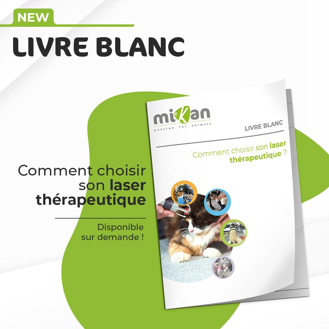 livre blanc comment choisir son laser thérapeutique