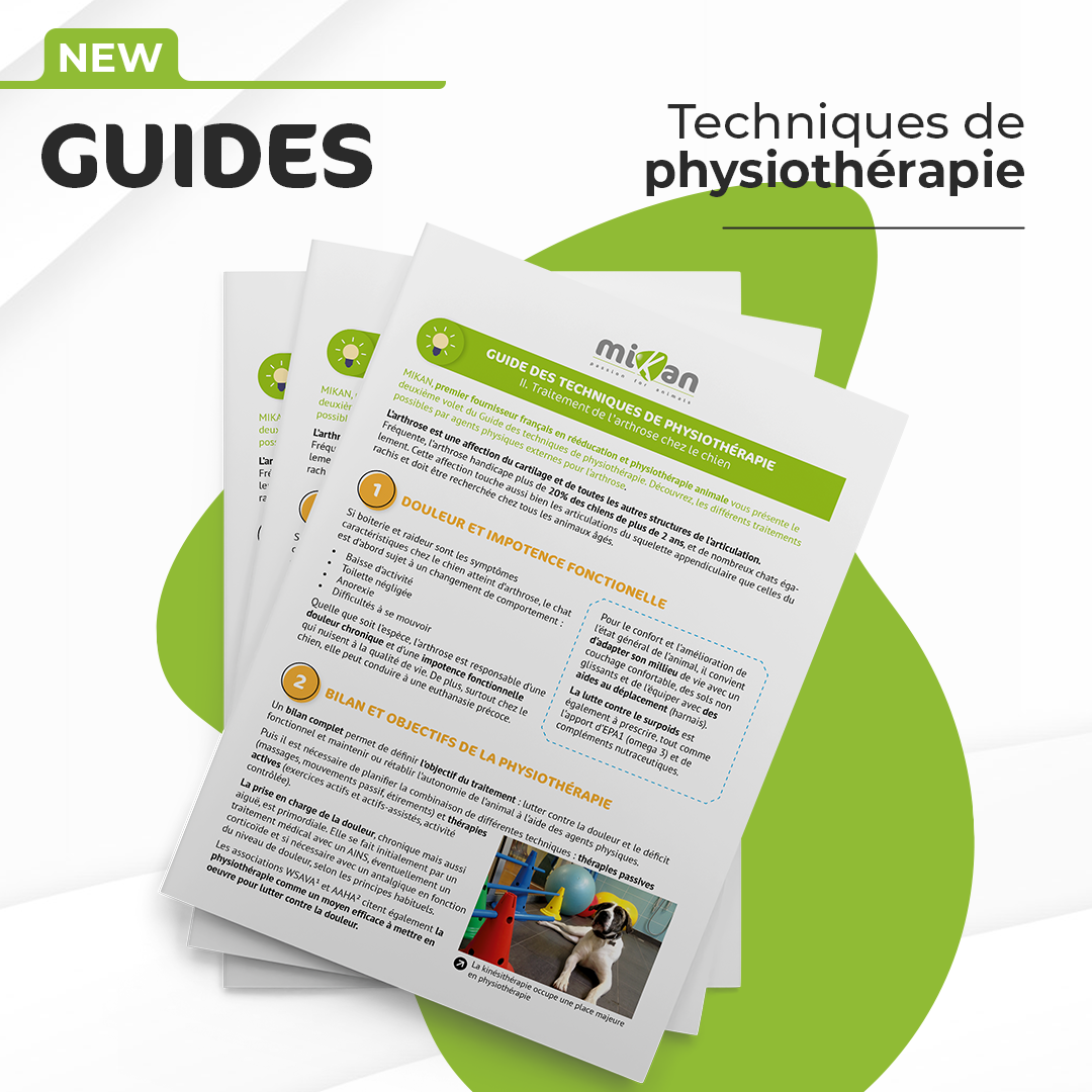 guides techniques de physiothérapie