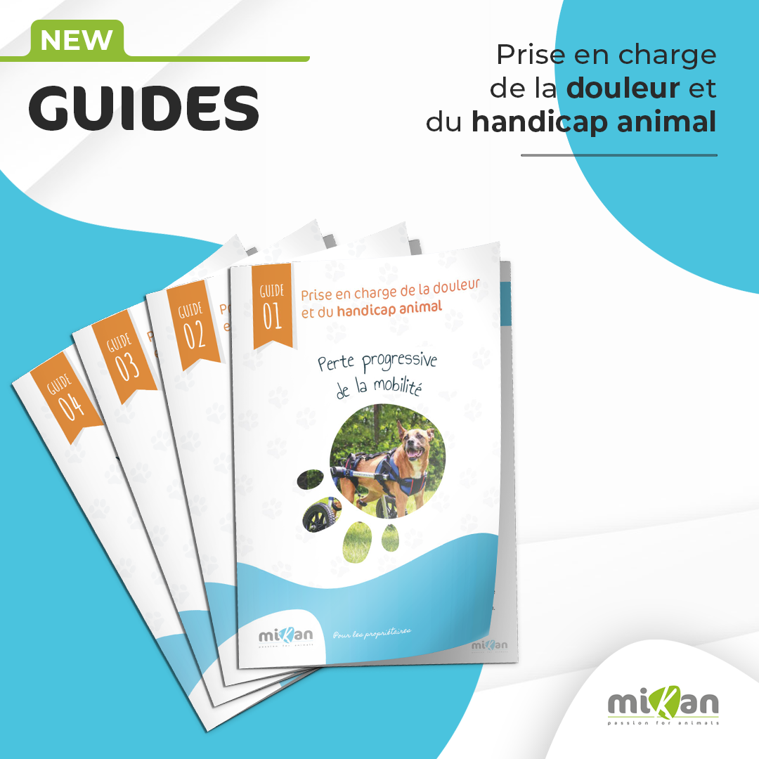 guides douleur et handicap animal