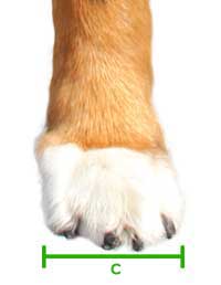 Attelle Rigide Walkin Wheels Patte Arriere Chien Et Chat Attelle Rigide Walkin Wheels Patte Arriere Chien Et Chat