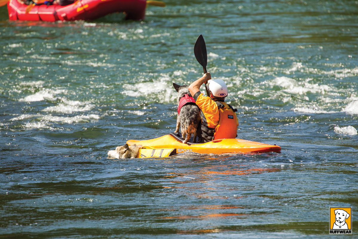 kayake-avec-chien-mikan
