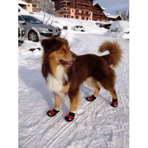 Bottines_renforcées_pour_animaux_ruffwear