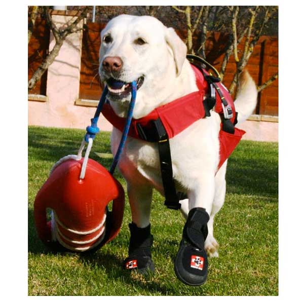 Bottines de protection pour chiens