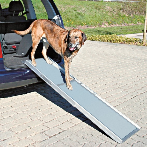 Rampe prestige d'accès pour animaux