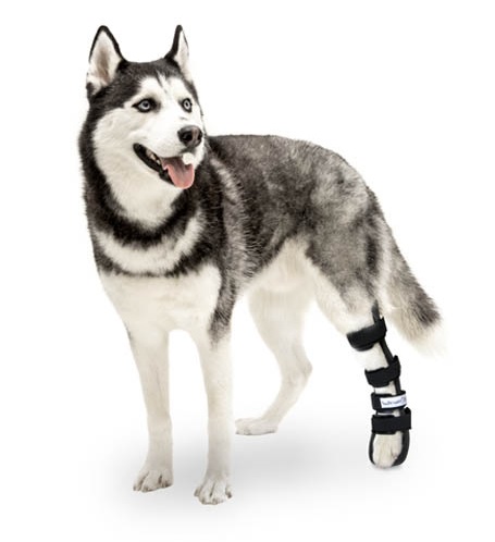 /attelle-rigide-patte-arriere-walkin-wheels-mikan