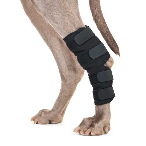 Protection de pattes/chaussures-pour-chien-protection-coussinets-paws-