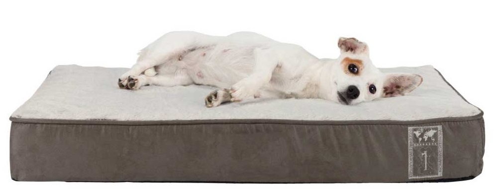 matelas-memoire-forme-chien-chat-trixie-mikan