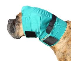 Snood une protection contre les secouements des oreilles pour chien