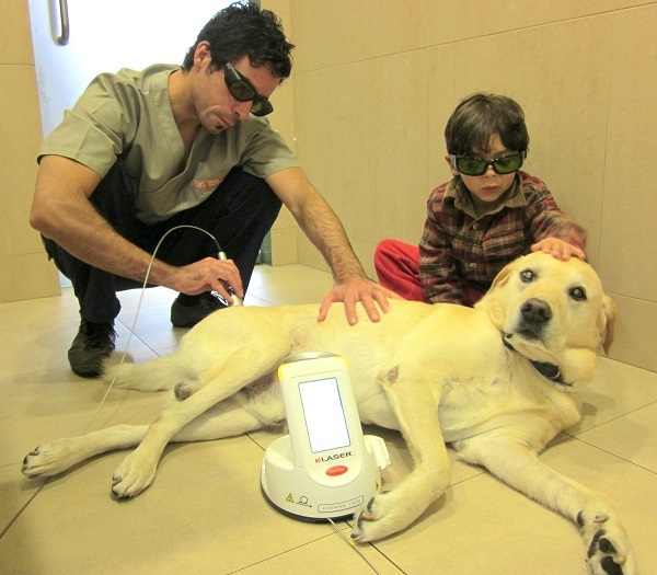 Klaser-vet-traitement-chien-mikan