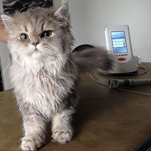 chat-laser