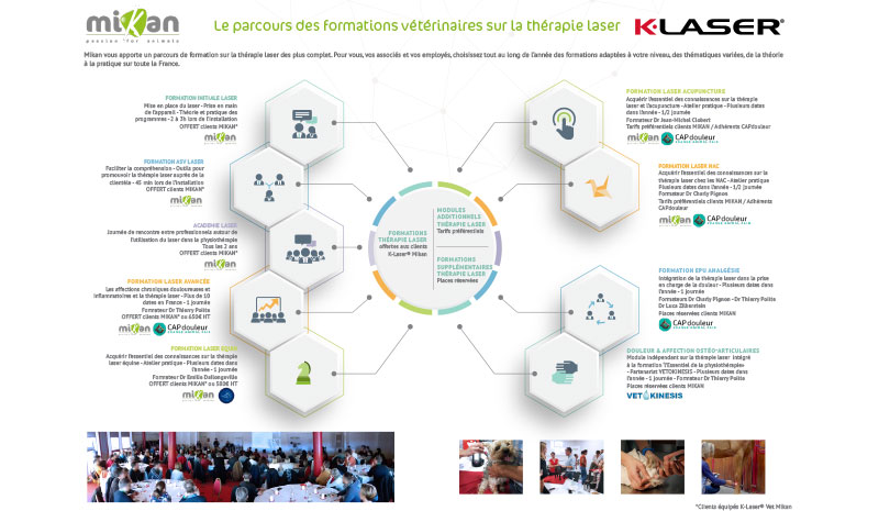 formation laser thérapeutique vétérinaire