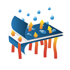 Logo fraicheur
