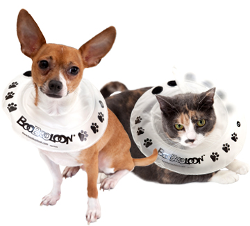 Collier_boobooloon_accessoire_pour_chien_et_chat_mikan