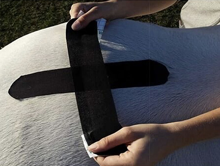 kinesio taping sacro iliaque cheval