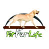 Fit Fur Life